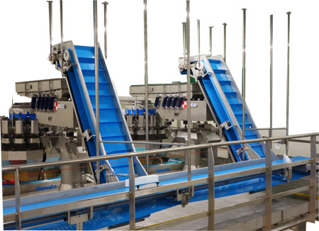 Conveyors and Handling Equipment